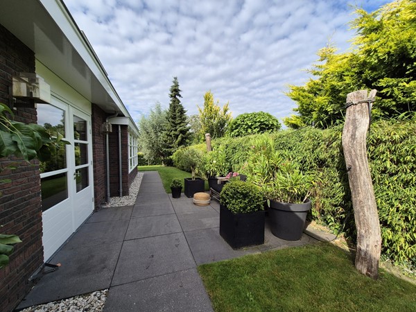 nieuwe buitenfoto's 29-07 (16).jpeg